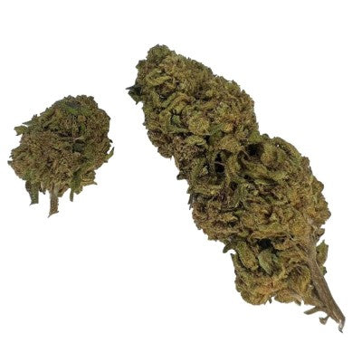 Mango CBD 9%